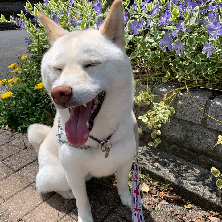 847a5752 4e3c 4eb6 8832 5a6bcff1f70b 1587799301919