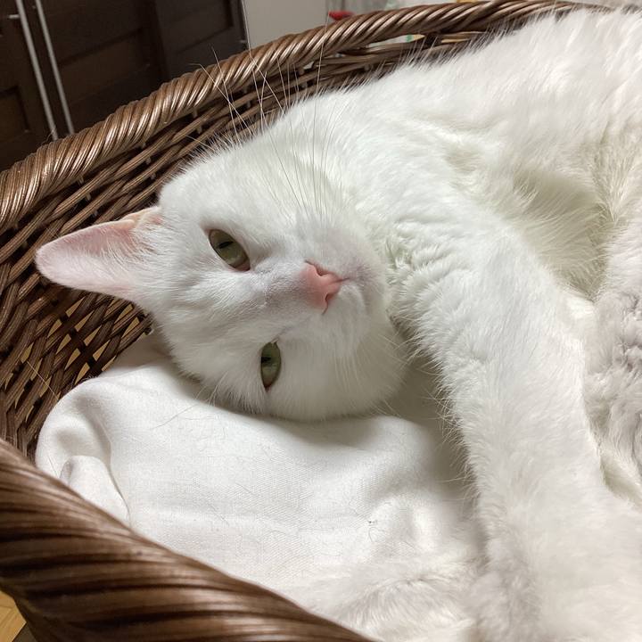 847a580f fd8f 420d 8156 04d2accd9bf7 1684412917719