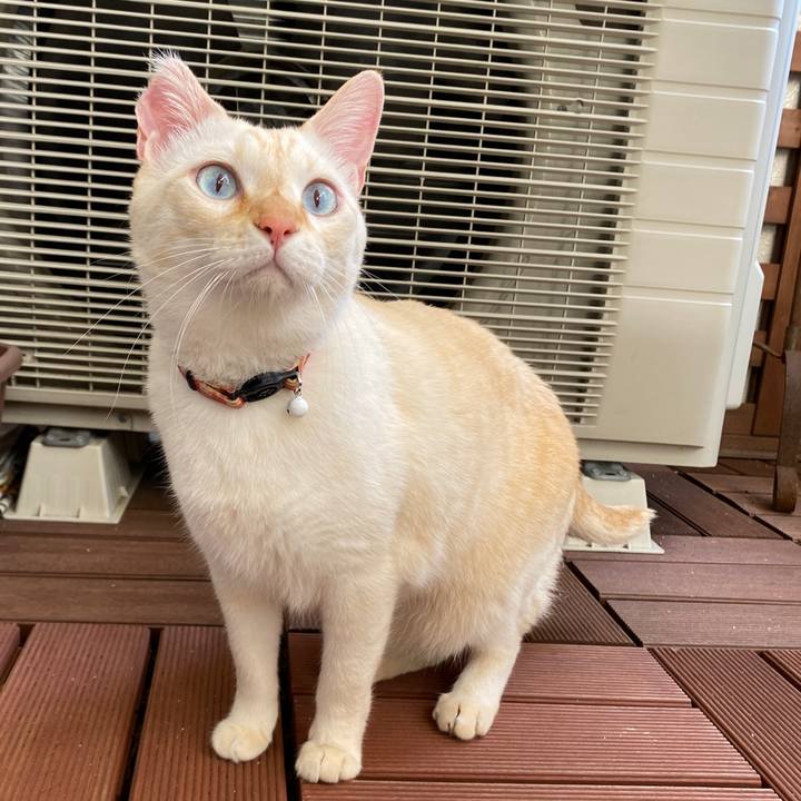 847a7d2d 04f7 424e 87cb e19e88e7db36 1699164876128