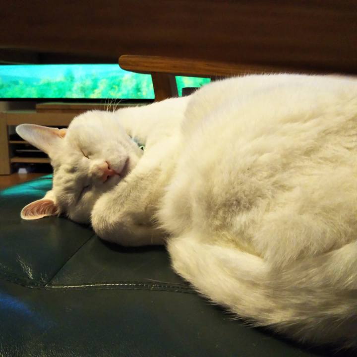 847aa7dc 58b9 4158 a2a3 43681096051d 1603346546086