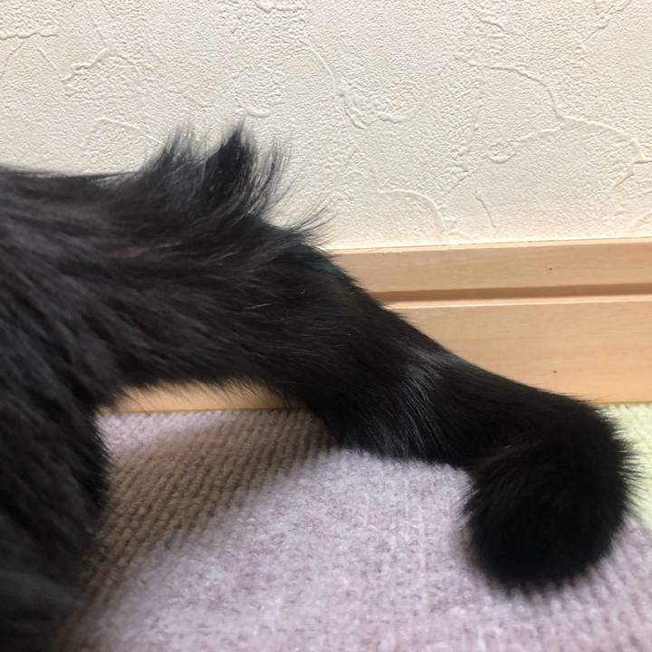 847abec7 c72d 499a a32b 90056b582487 1628281104465