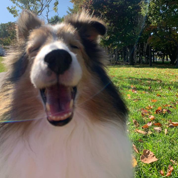 847aca58 7363 410d 8cb6 e81cb280fb0c 1571745743836