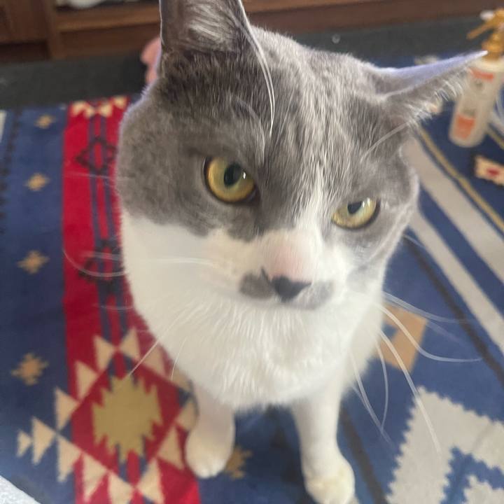 847accb1 a375 4de8 82f2 f2e8b958d486 1682219384005