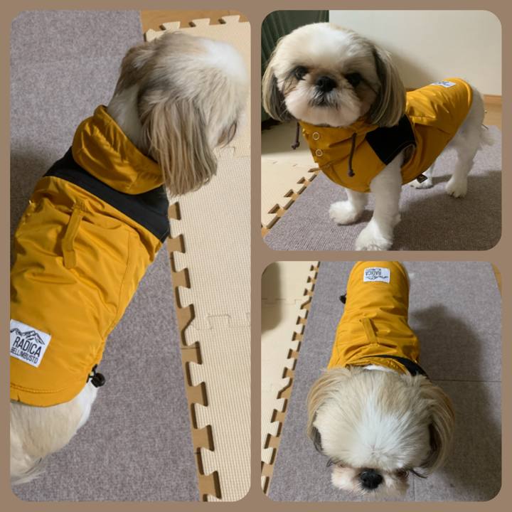 847acef4 f9b0 4659 aefd 041887ea510f 1633605229806