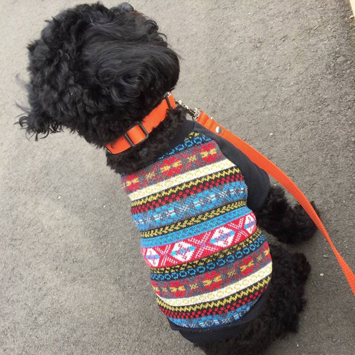 847aeb6a dd3c 4d34 aeca 92f5e5a8b502 1511326435756