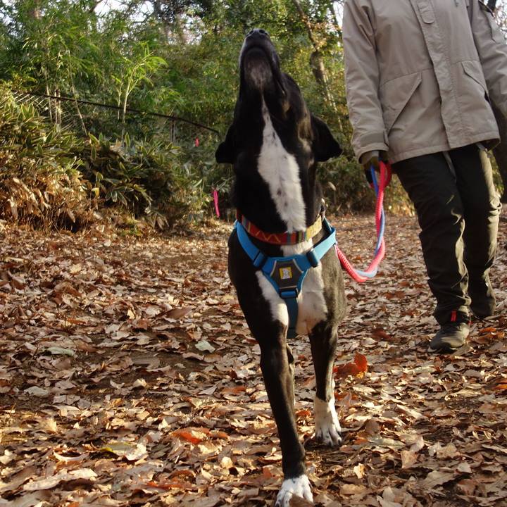 847b1f7a d802 4ad2 b148 93c62f1f063e 1608855212044