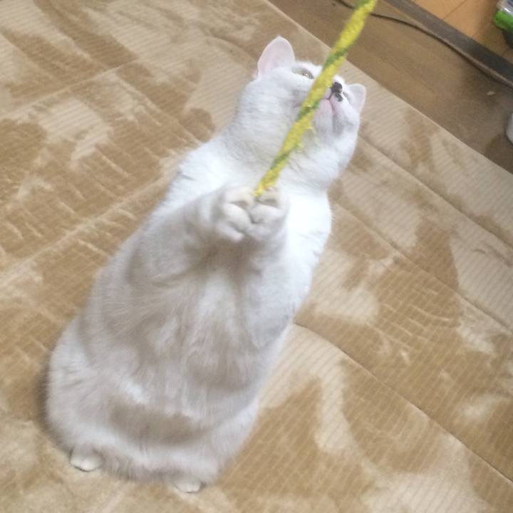 847b4a24 db3e 4f89 baa8 a8b6c2f9f750 1547813998188