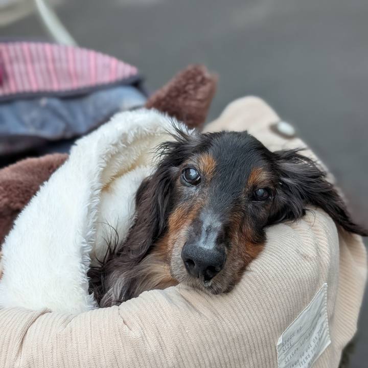 847b56b7 dc12 4767 931f dfdd29cf8453 1764139502814