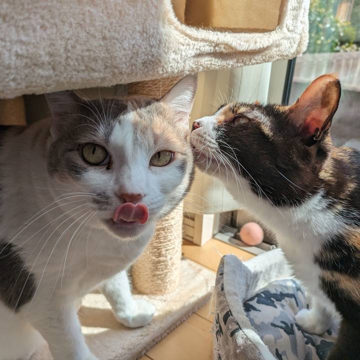 847b658c 6069 4410 83a5 61f49beee672 1711237959280