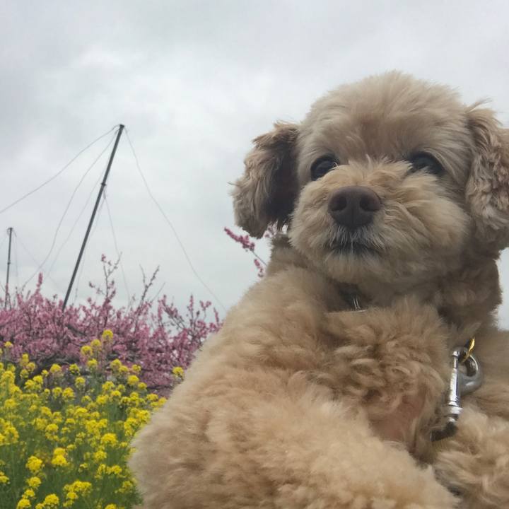 847b7ef0 f16d 4e07 8d52 859c810f4279 1512298620421