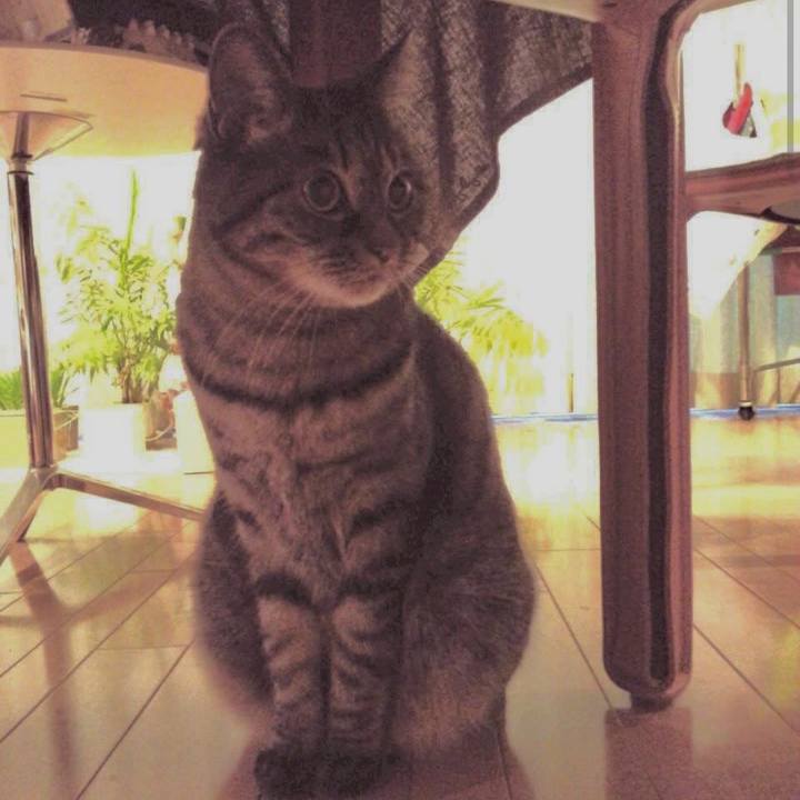 847ba1c7 2a0d 4fa9 b047 5a22cc855c7d 1768948907915