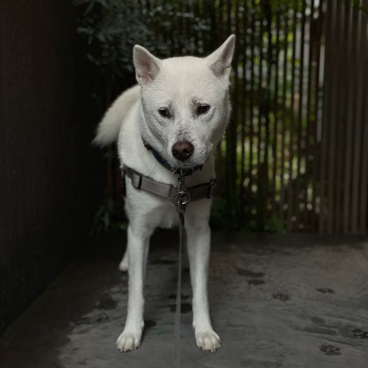 847baa6e 48da 483f a068 86595ac8b278 1636601560116