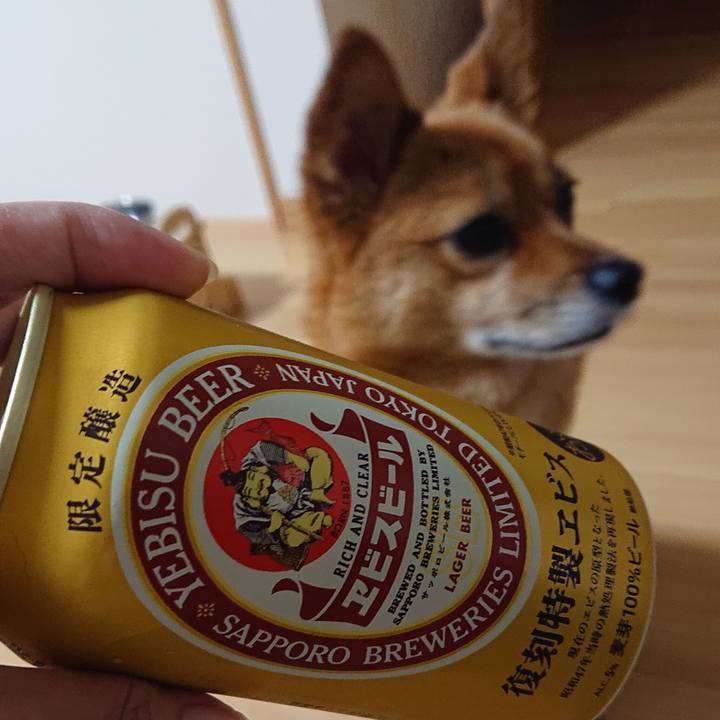 847bc168 1436 400d b723 cd33d76afee2 1562938132687