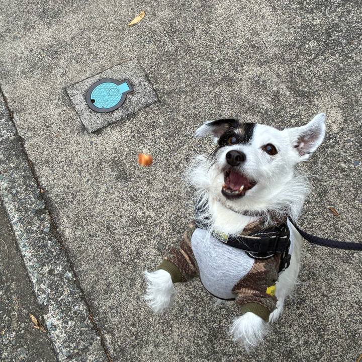 847bc22a 1f73 4ebc 89ca cbd5f82a44fc 1762995810469