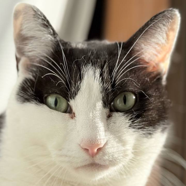 847bd102 6d90 49eb 84ed d4b5942b76dd 1769483129377