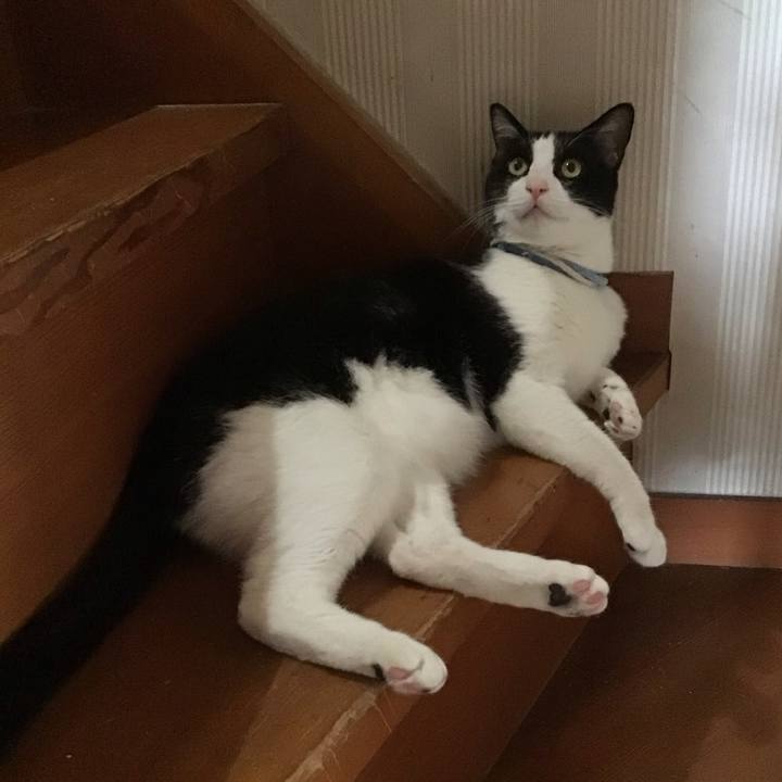 847bdeaa 6668 4065 84c1 fa453b770b09 1684753704781