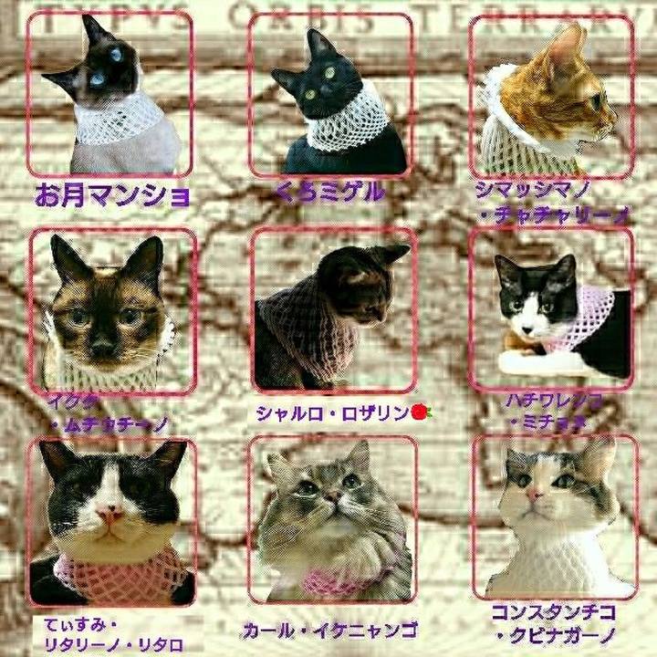 847bfe27 6e3c 4a50 8f3b 04aa6eabd29c 1532517659768