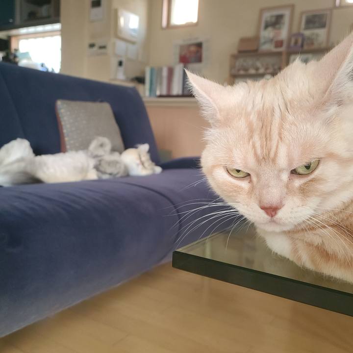 847c2cd4 3fd4 41f8 8b57 48da079bc0b5 1655457357954