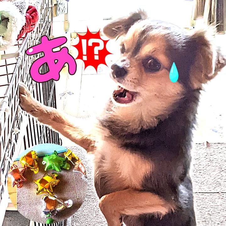 847c39ec 3eb4 436b accb 9e51e40745ae 1667614548456