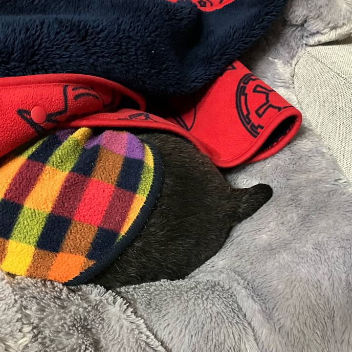 847c47a6 54fb 42f0 a1f8 a746511176db 1711811331164