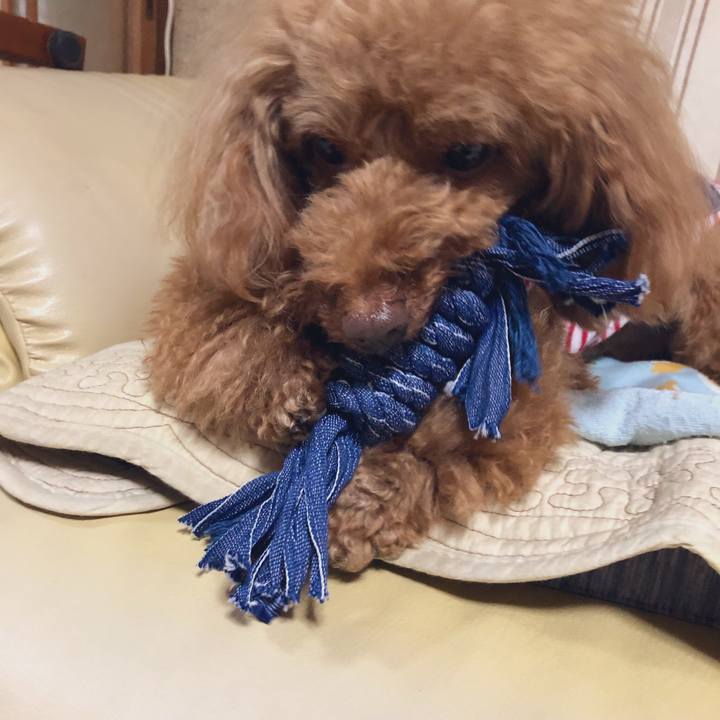 847c6c37 344a 4e74 b346 bfe30cbd97d8 1561598718912