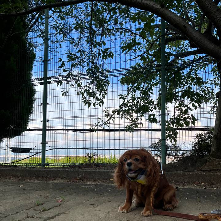 847ca696 881b 440f a5fa 3cb4f027816d 1659869352601