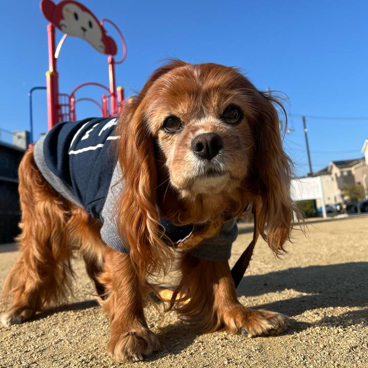 847cade7 bf5d 43ba 9a25 0fa7d6e03116 1773273076990