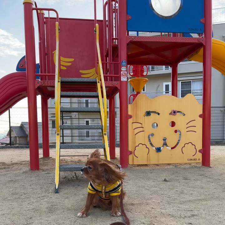 847d39fd ae6a 4d0b 9887 f557f1f1dde8 1671838914478