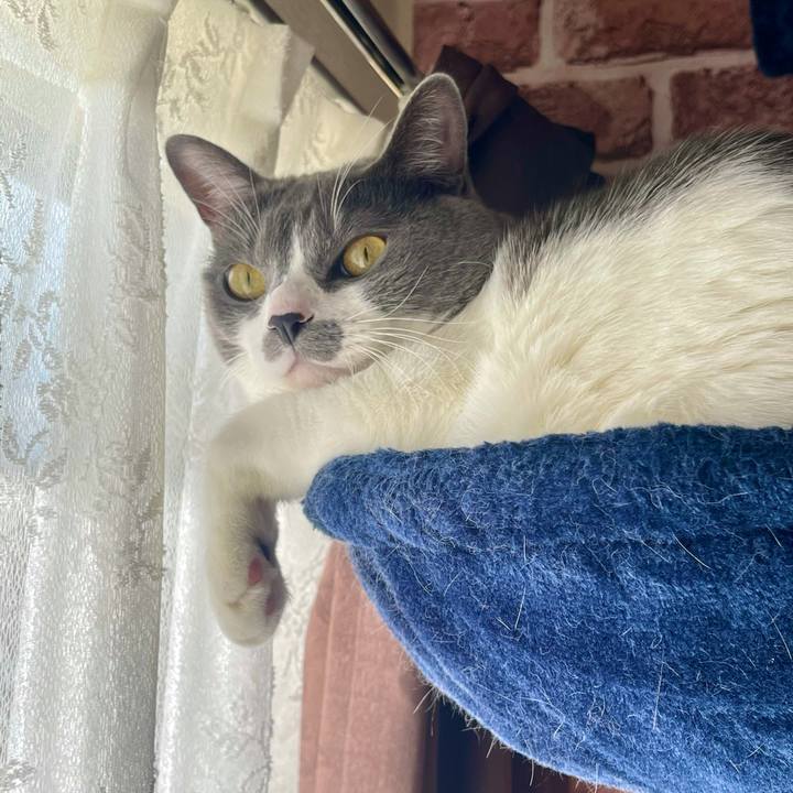 847d3bc7 4e5b 4e4a 92dd 77972c6a6a38 1638149419651