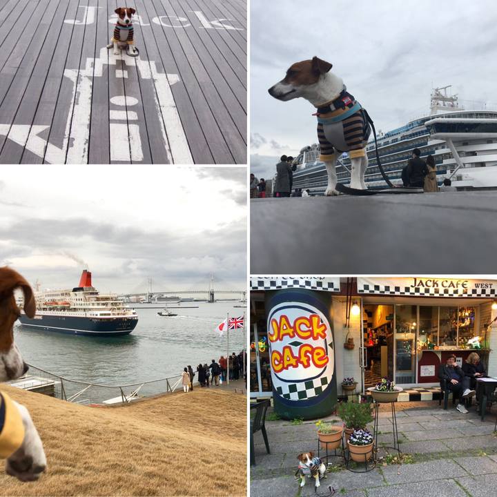 847d838a 98a1 4cd7 b15d bfe1acb76935 1552227590786