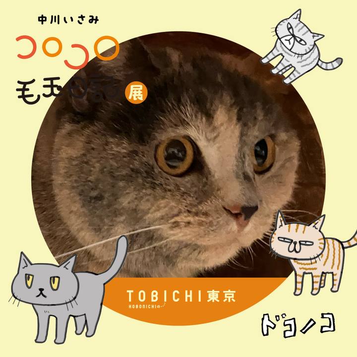 847dd5dc e76f 4793 bf33 369ecd74e641 1740181063325