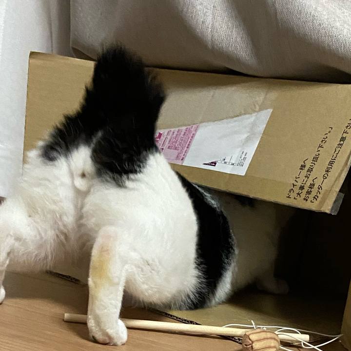 847ded8d 6d3a 4315 9bb1 8183527f8fbd 1582033954635