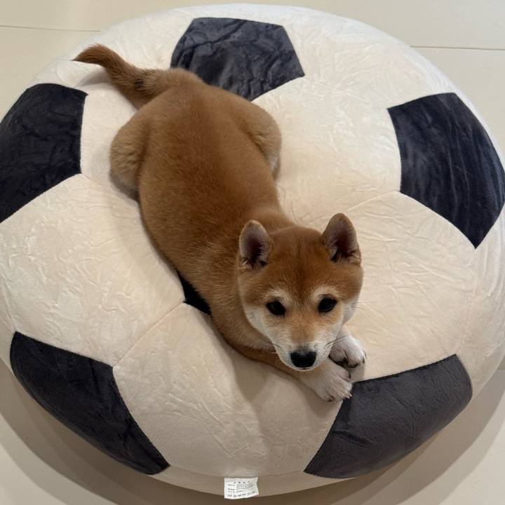 847e0b7f b3d6 44dc b70d 4cac5544a36b 1767269960196