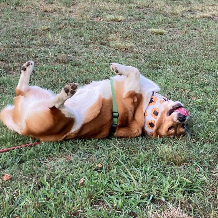 847e4596 907b 49d9 8cab d6efdb34beef 1758089878240