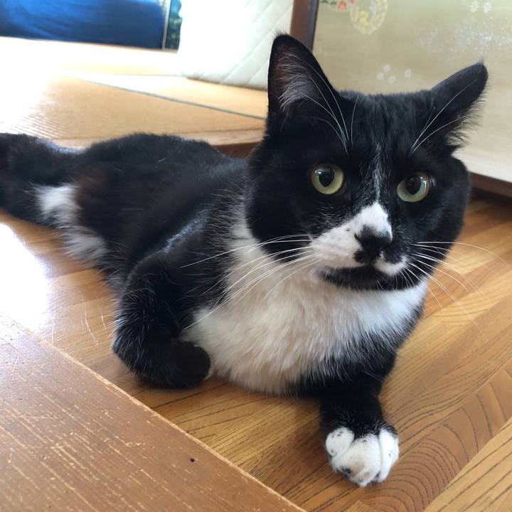 847e5afb 55fa 4ca3 952d 348d69ebf52f 1654485624589