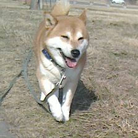 847eaa9f 133b 4fd3 a95e a2bfcbe9ebc1 1579178498481