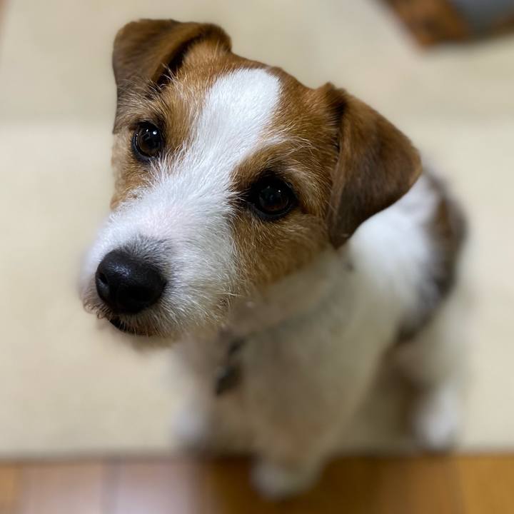 847f05f2 9980 4d3a bc67 0eb554f1ad48 1712488942771