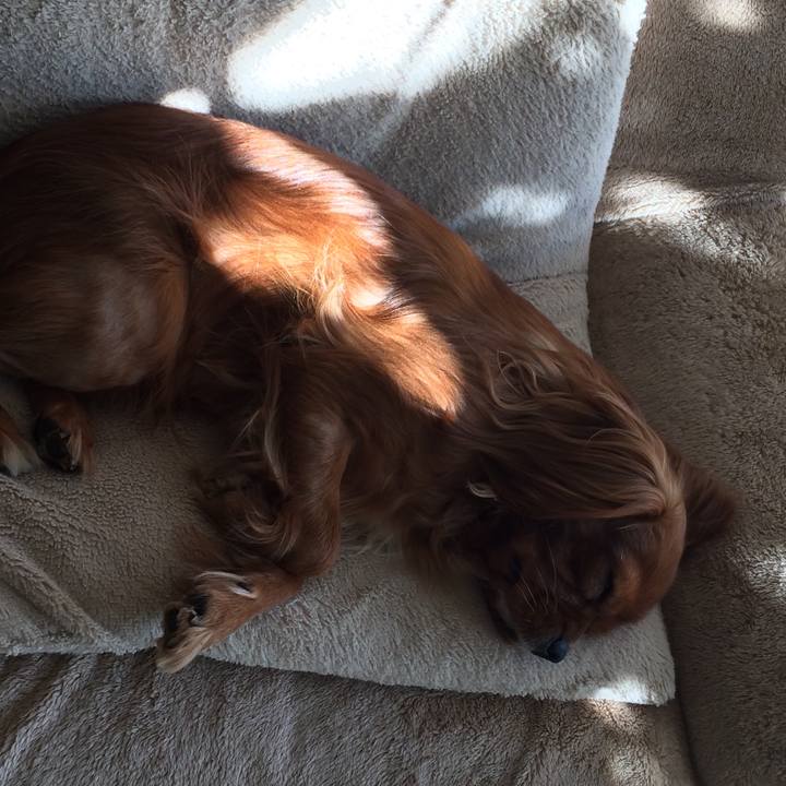 847f1a6c 85a1 4461 8001 b0c1fcaffec7 1515039307579