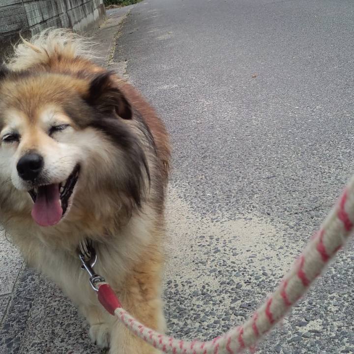 847f223a bbae 4fb4 85c6 4083c9f6c4ac 1595299583489