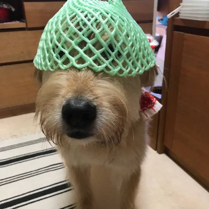 847f3ae4 9264 4e3a 9123 b3eb75974873 1532482846854