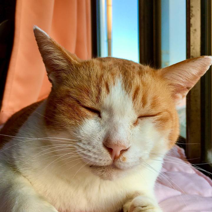 847f3baf 91a1 4d7b 88e5 b2099638eaa6 1571021368562