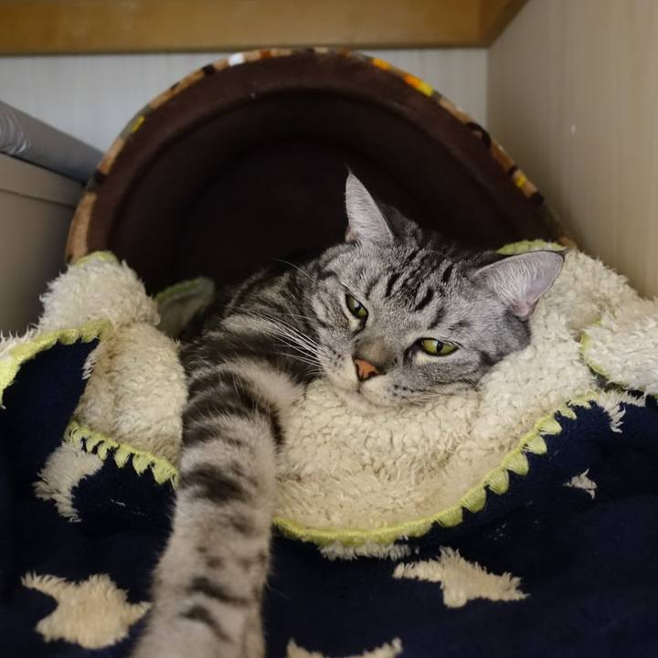 847f5370 8405 4dfc 8f2e f1e50dc32d72 1549764229604