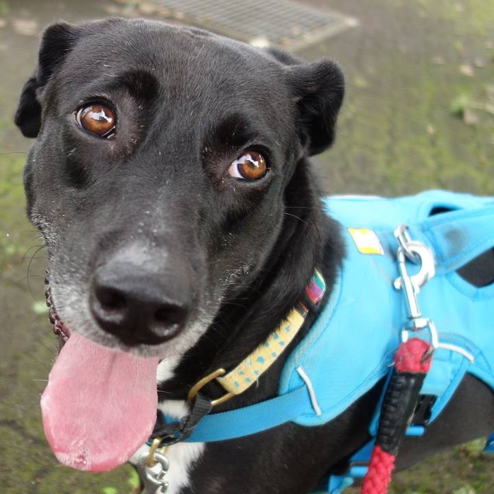 847f58aa 75c0 4b20 8293 953fac60b1d8 1625969323836