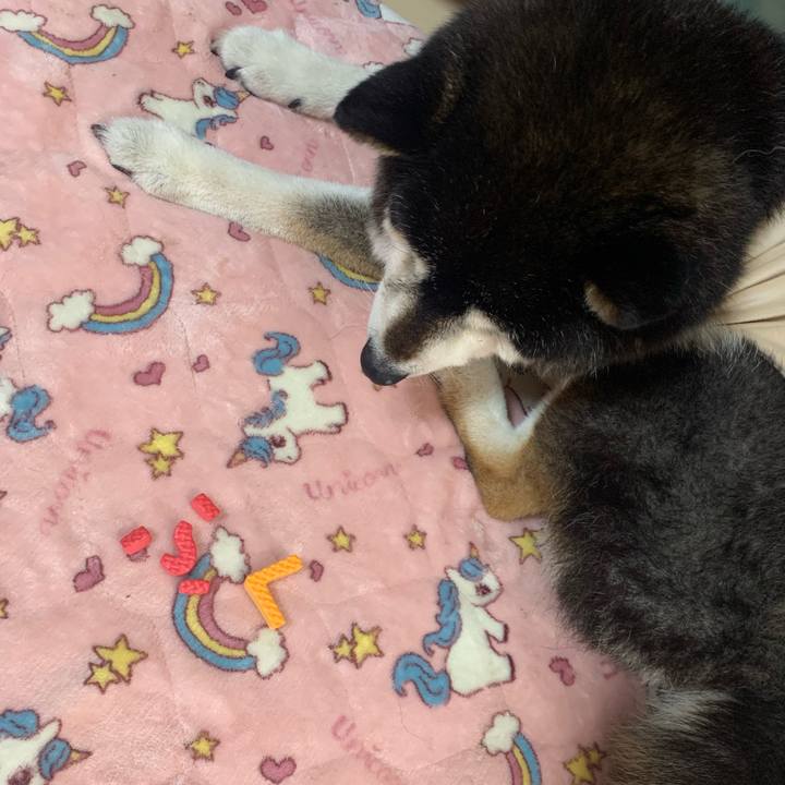 847f920f 5006 43ce 9f0e bffa1ef91df6 1683433046435