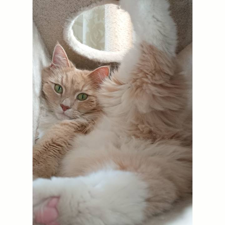 847f9b04 ae53 44ad a040 33b1d1423b49 1549780264836