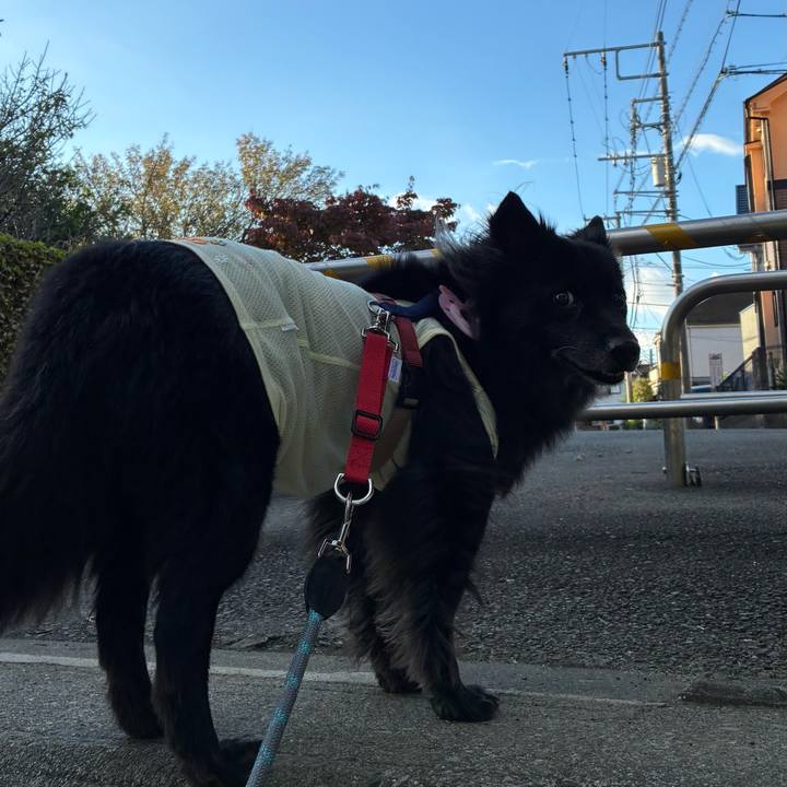 847fa809 4f58 4f87 9033 bca156c698d2 1761610529332