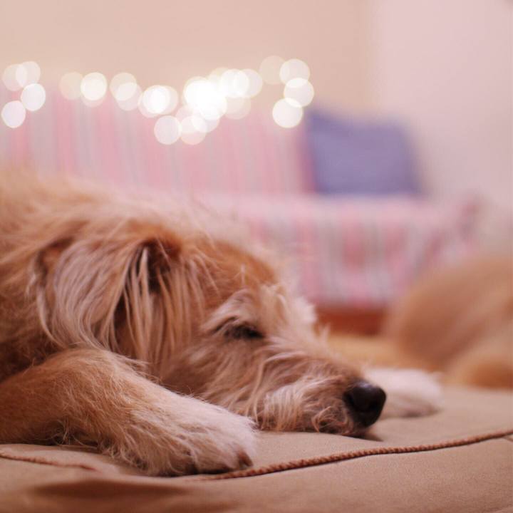 847fb9c4 af31 4c17 b2e0 8148fa01b077 1576112472555