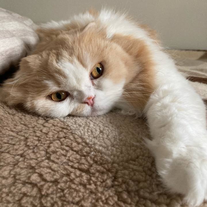 847fc464 d54f 4689 bcd9 6d855287ffe7 1615030483523