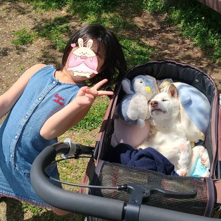 847fdddd 305b 466f a225 e757ed2ce257 1681670488545