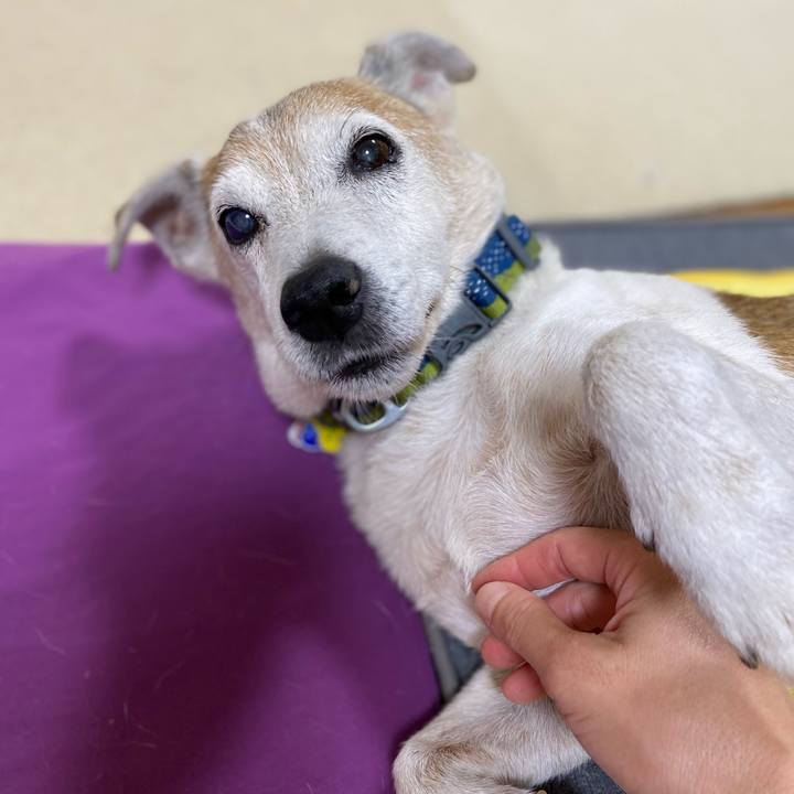 847feb3d 17b3 4251 b596 d51441175227 1660441406576